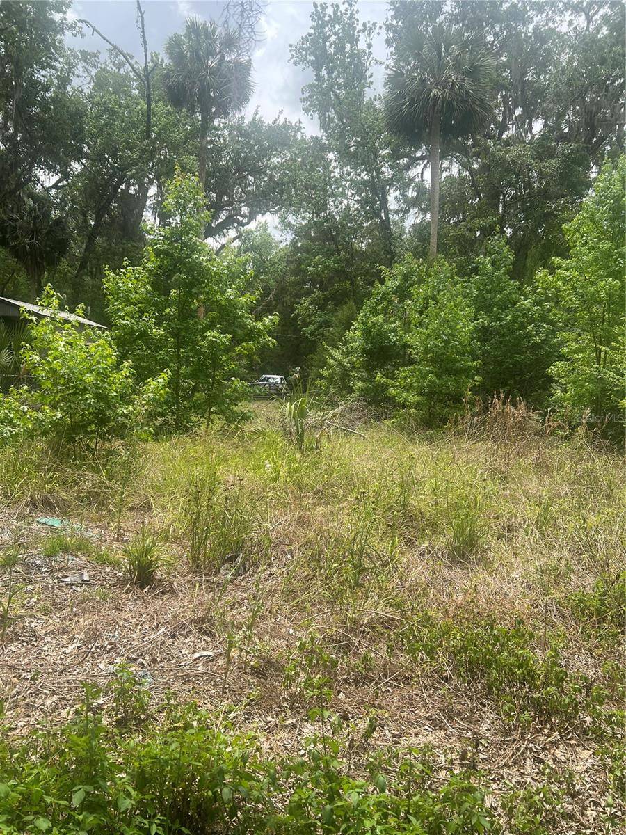 Lake Panasoffkee, FL 33538,2614 CR 412