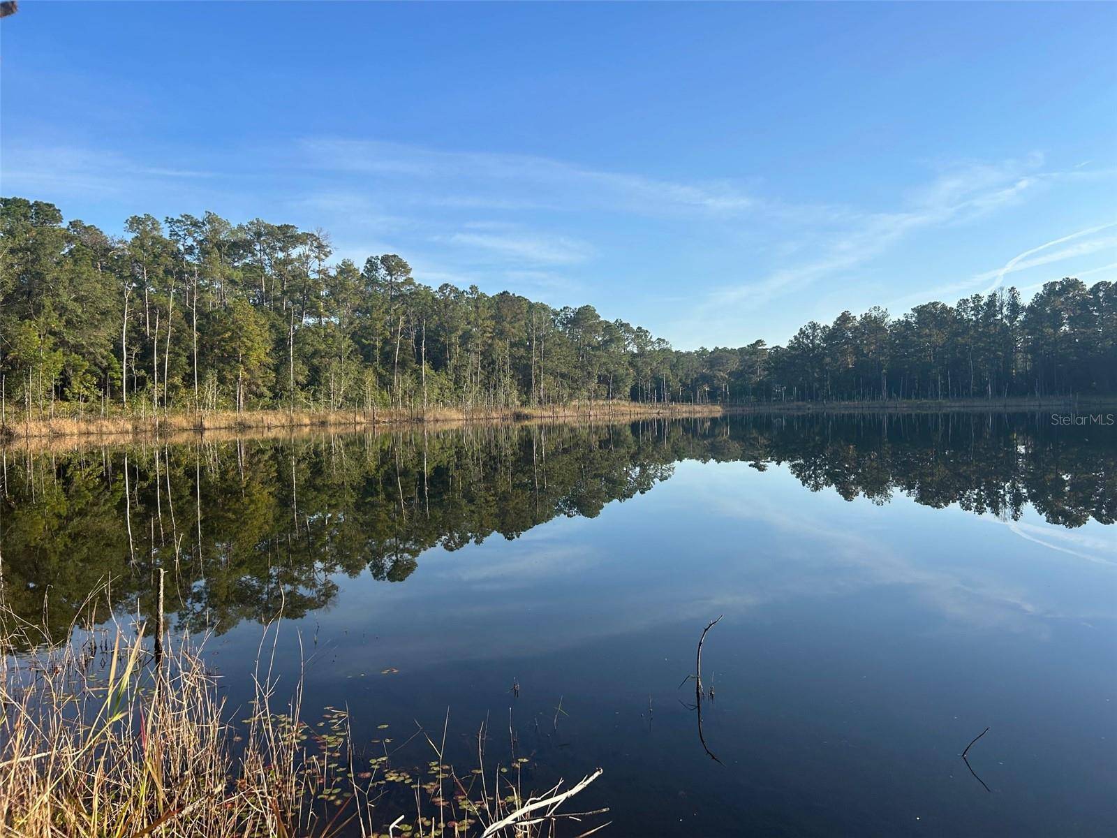 Ocklawaha, FL 32183,SE 49TH STREET RD