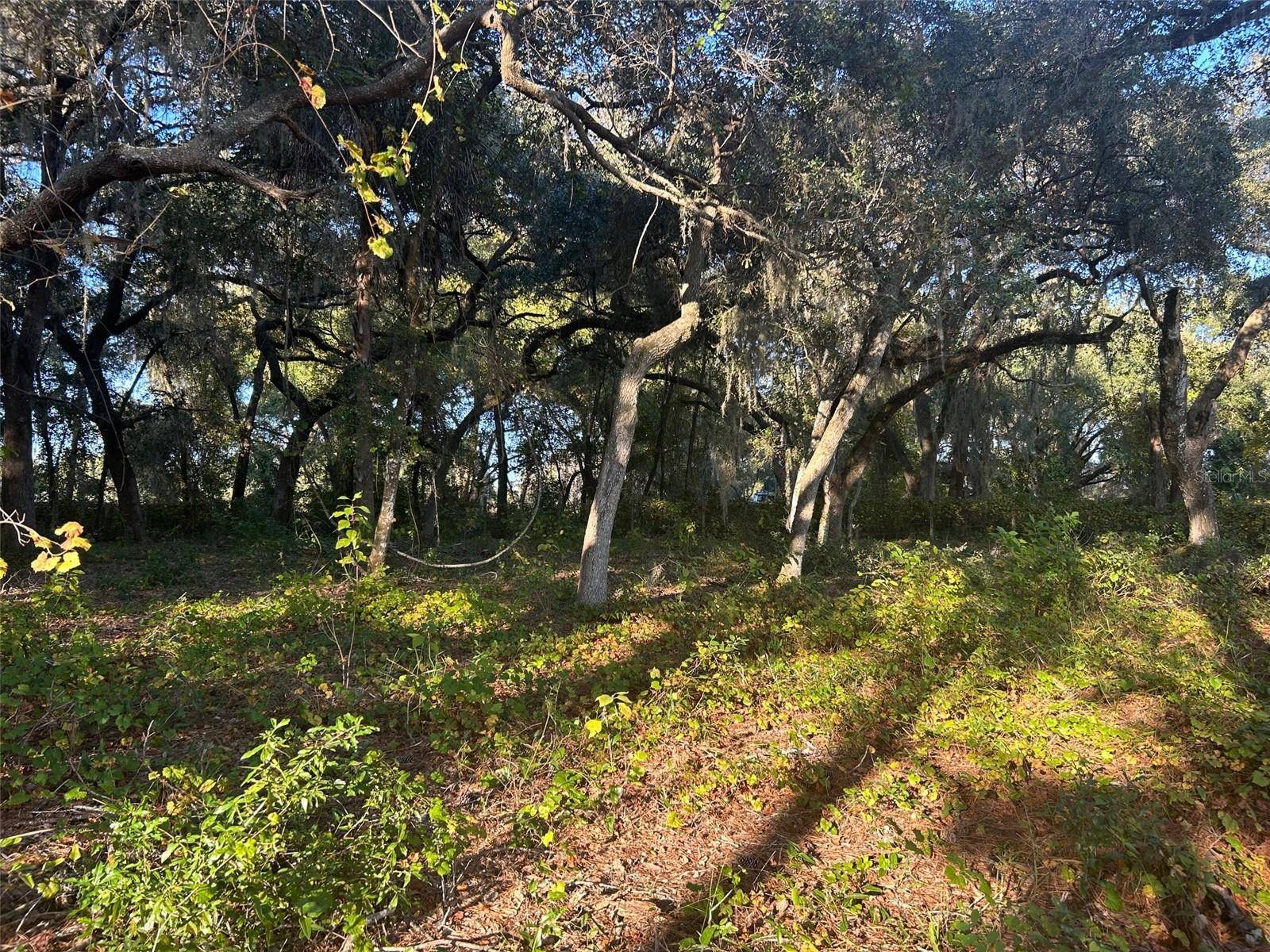 Ocklawaha, FL 32183,SE 49TH STREET RD