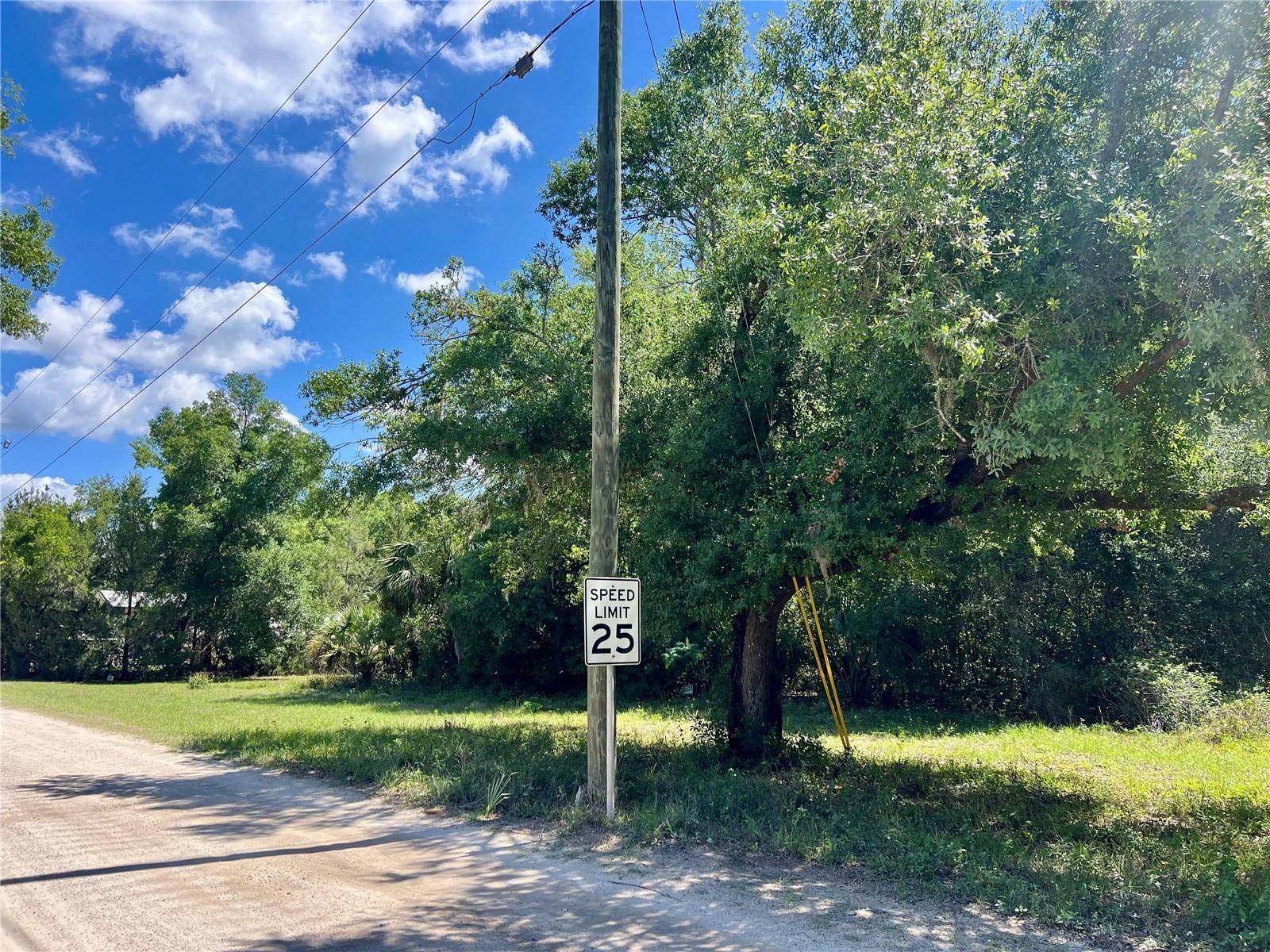 Umatilla, FL 32784,OWENS LN