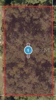 Lady Lake, FL 32159,ELM ST
