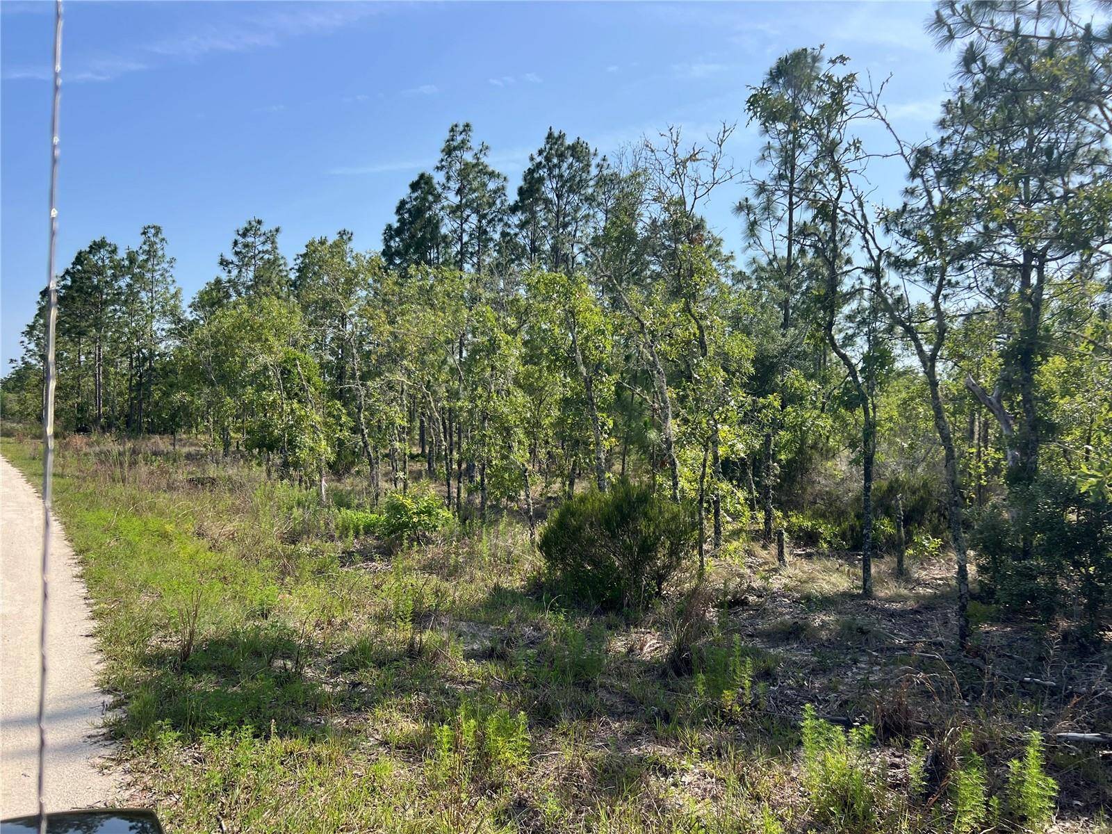 Williston, FL 32696,NE 151ST AVE