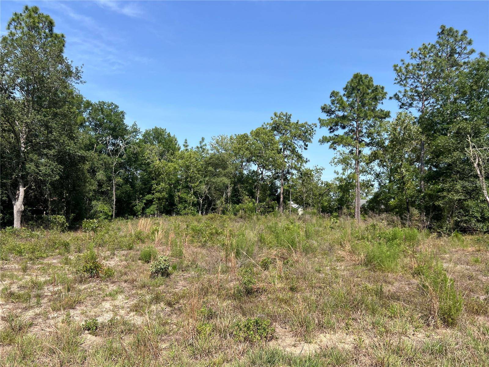 Williston, FL 32696,NE 150TH CT