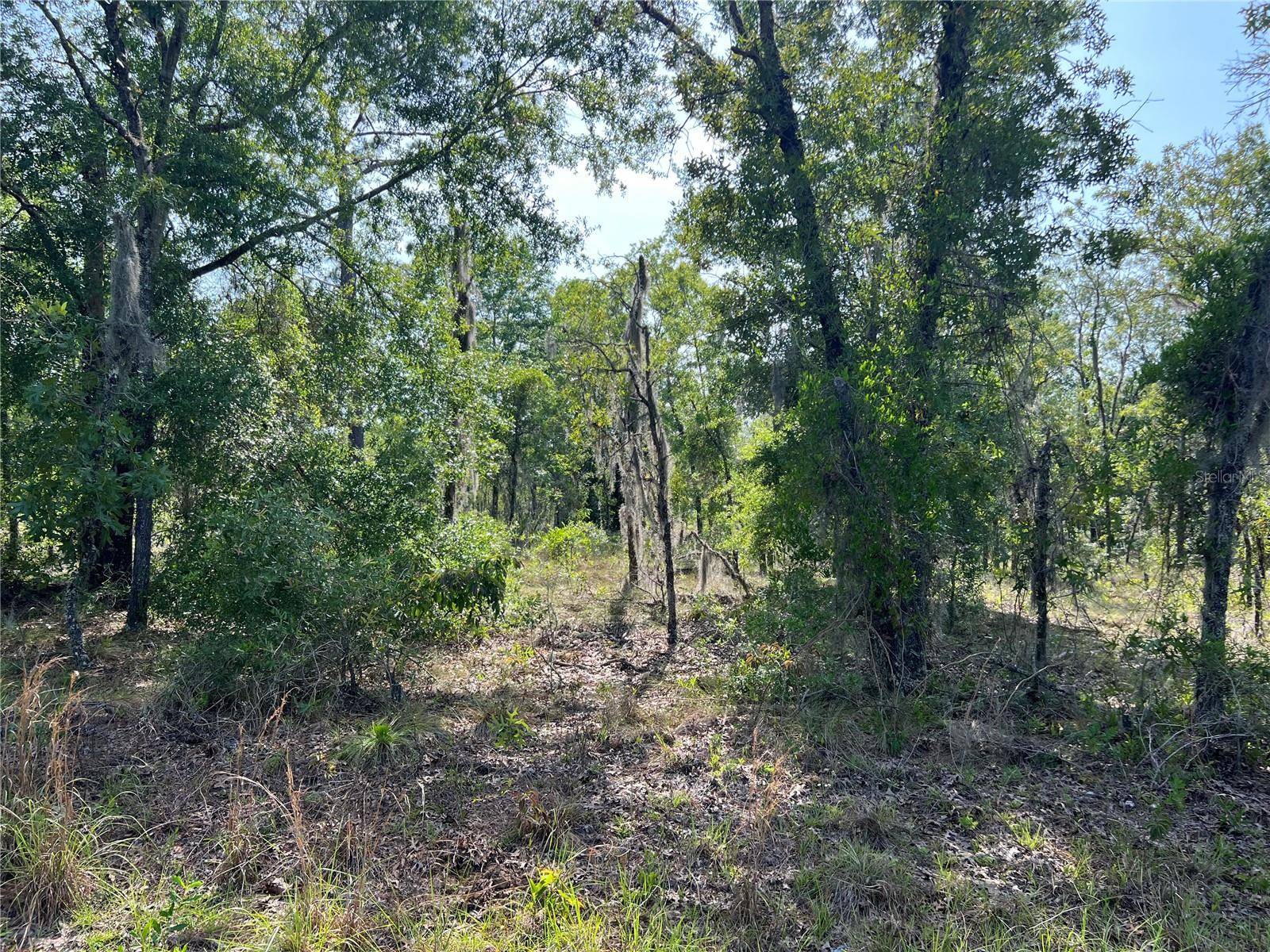 Williston, FL 32696,NE 152ND CT