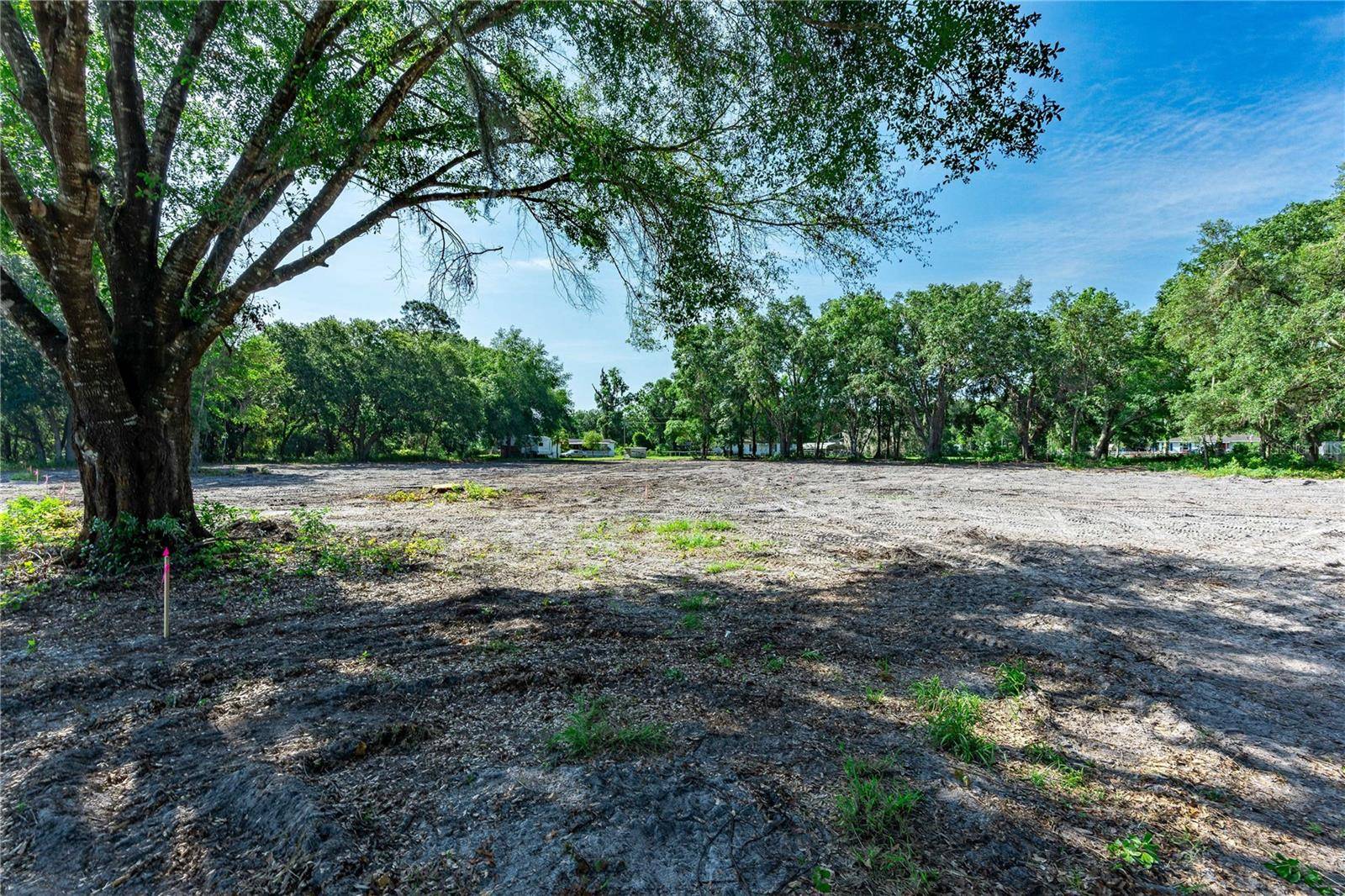 Webster, FL 33597,SE 124TH AVE