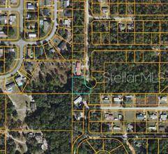 Belleview, FL 34420,SE 102ND TER