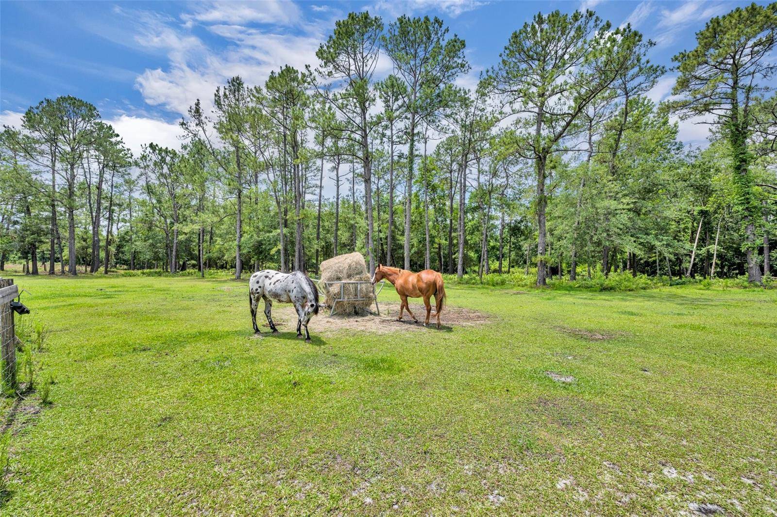 Eustis, FL 32736,21320 PARADISE WAY