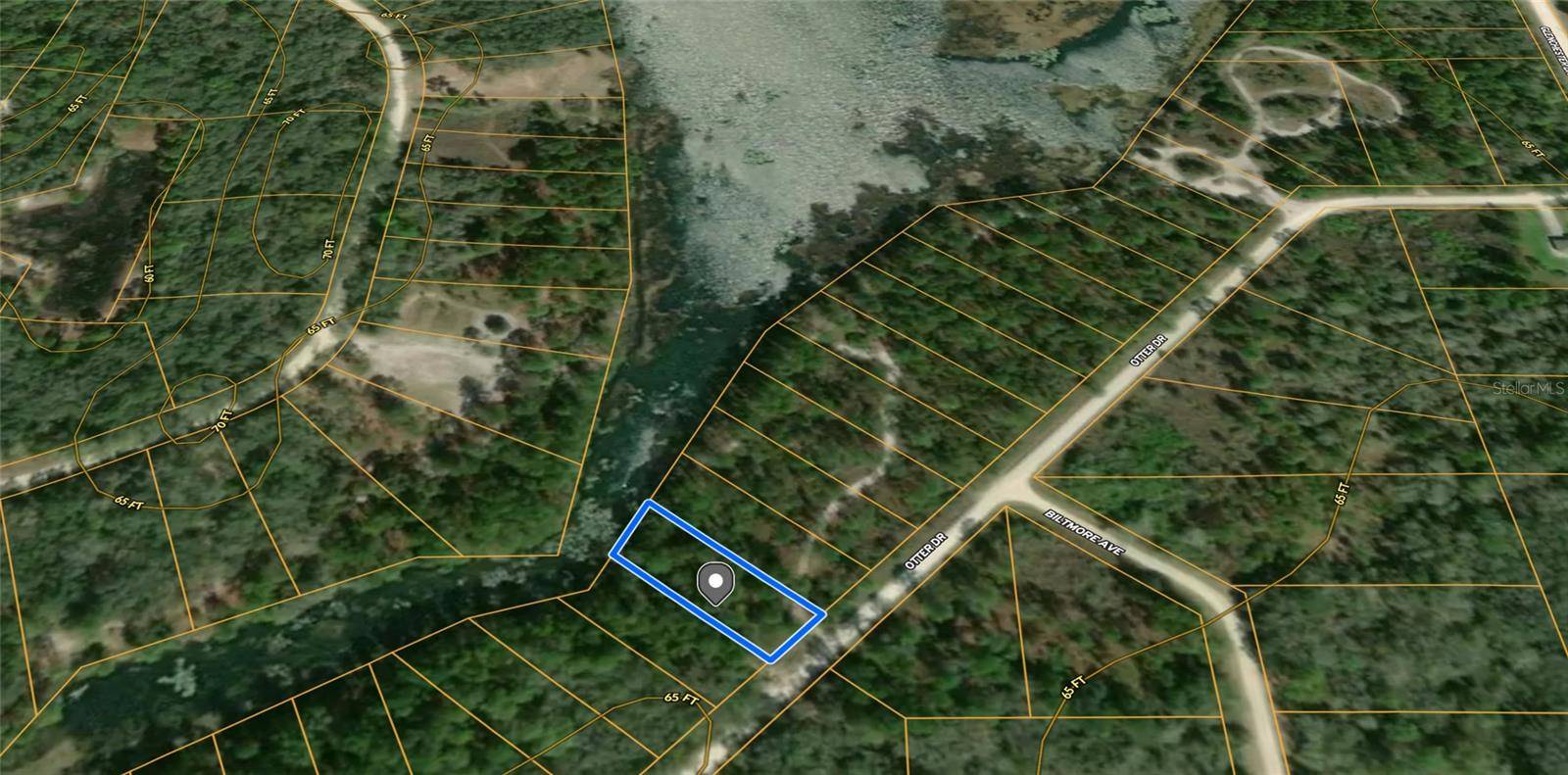 Webster, FL 33597,OTTER DR