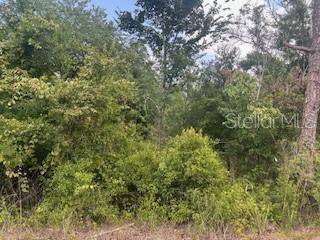 Webster, FL 33597,HARDSTONE DR