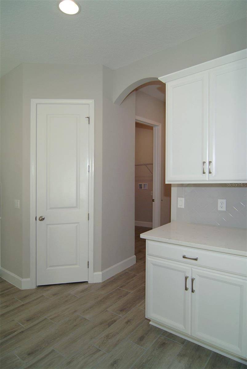 Land O Lakes, FL 34638,9544 BRAVE BUCK AVE