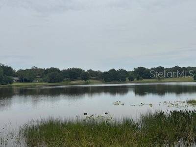 Leesburg, FL 34788,41827 N EMERALDA ISLAND RD