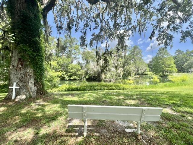 Leesburg, FL 34748,105 AVOCADO CV