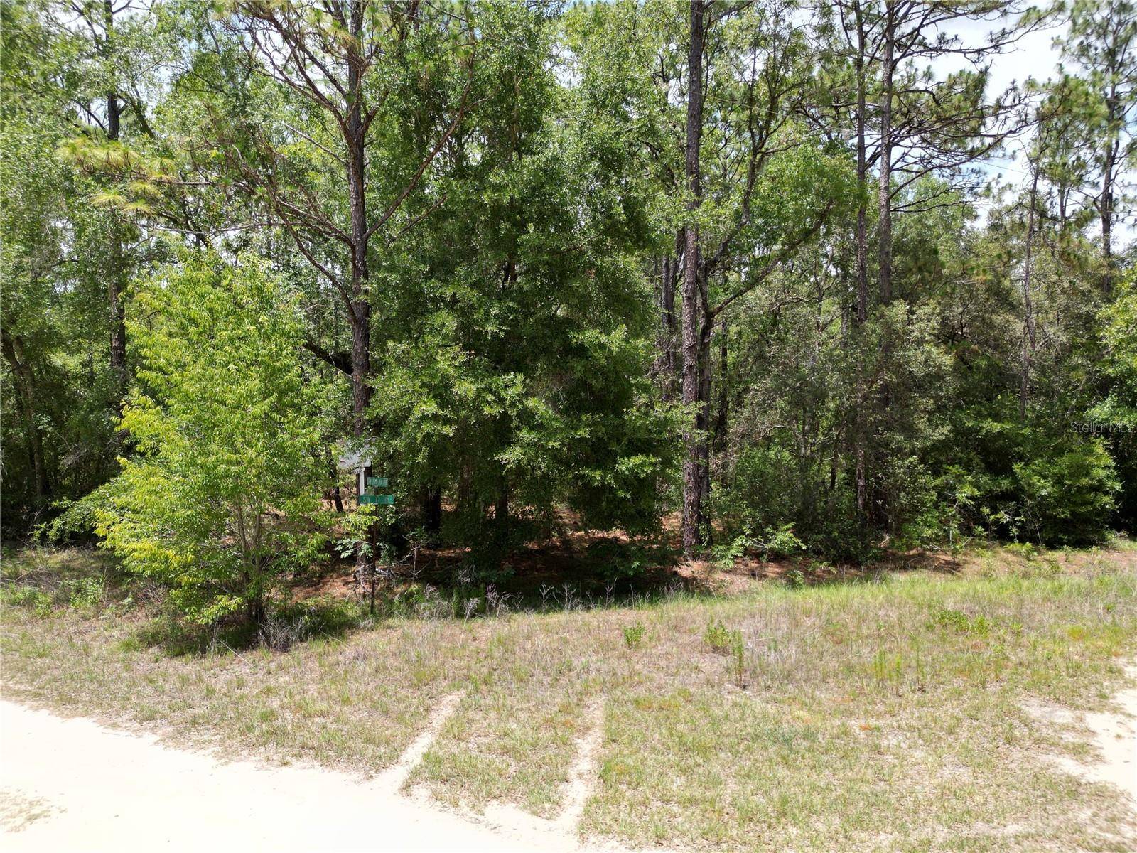 Ocala, FL 34481,0000 SW 159TH AVE RD