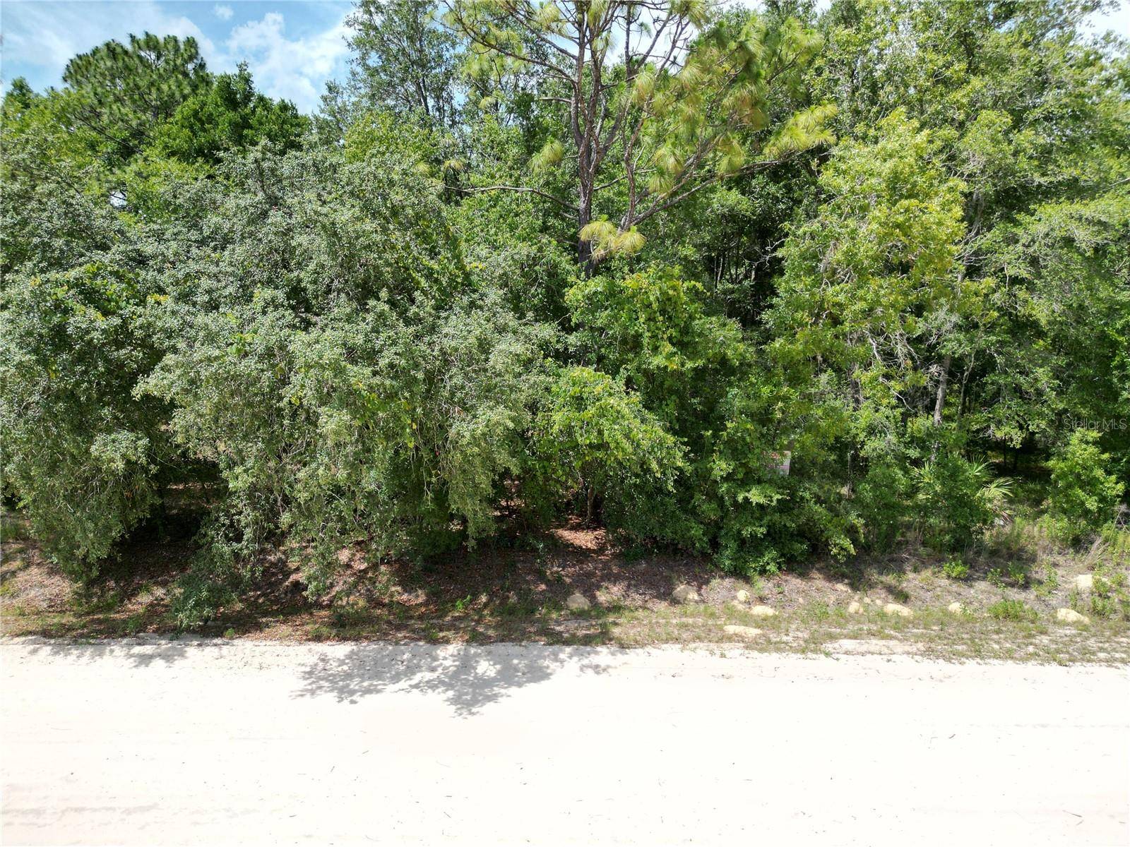 Ocala, FL 34481,0000 SW 16TH PL