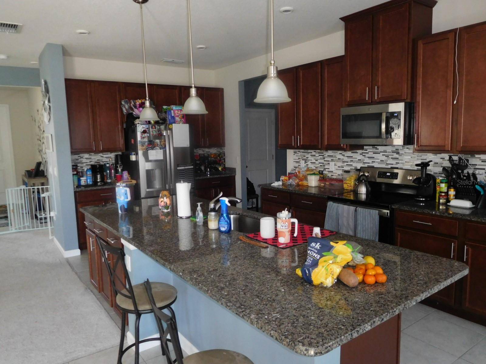 Mount Dora, FL 32757,418 WINTER BLISS LN