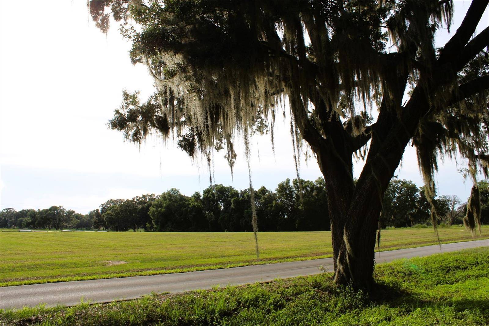 Altoona, FL 32702,CROSS COUNTRY BLVD