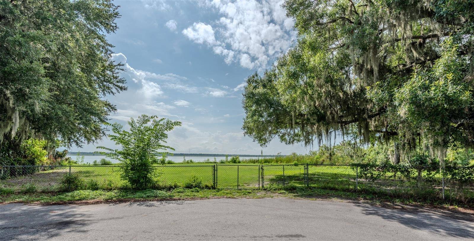 Lake Panasoffkee, FL 33538,LOT 6 CR 463