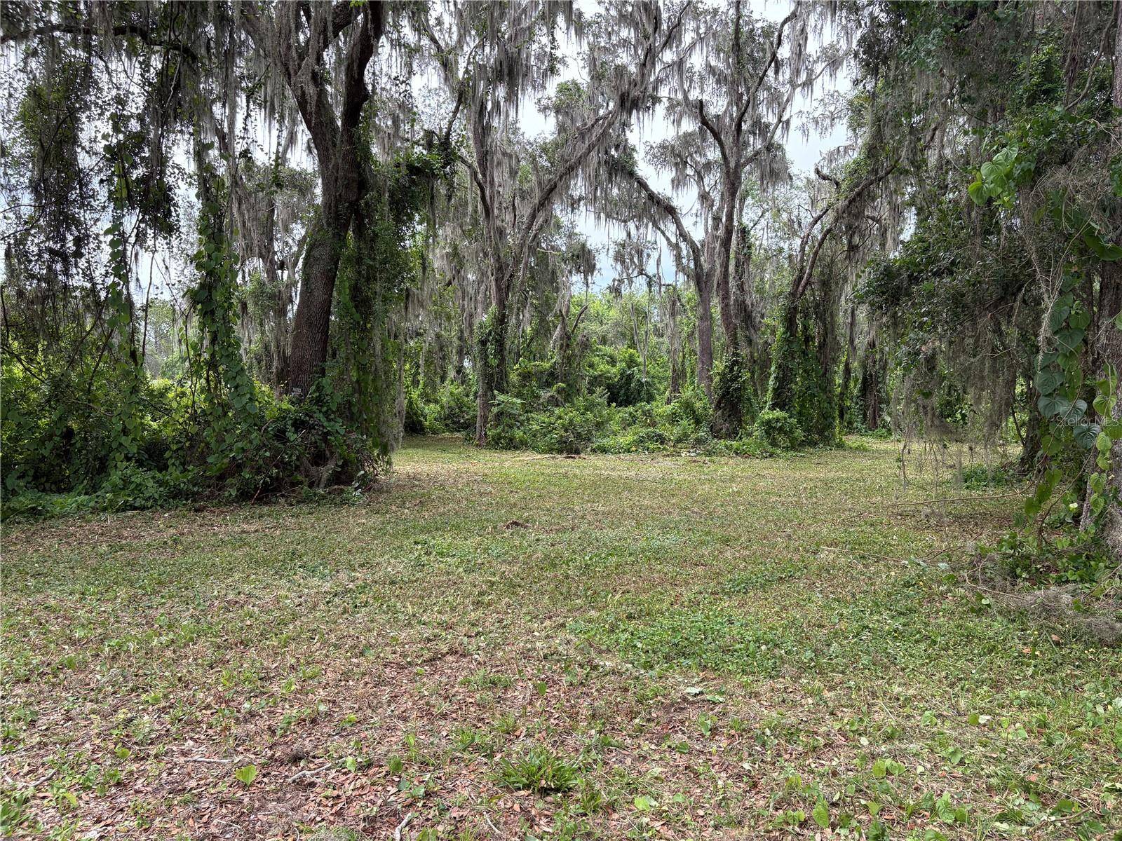 Lake Panasoffkee, FL 33538,Address not disclosed