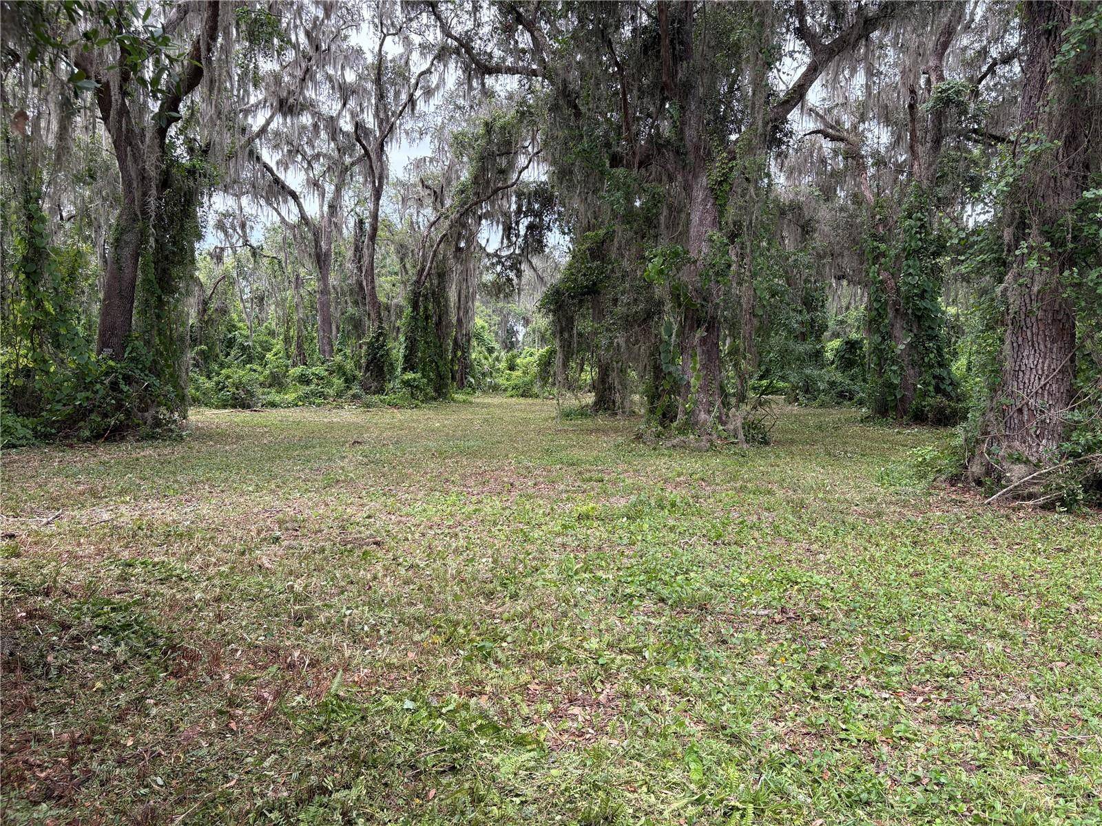 Lake Panasoffkee, FL 33538,Address not disclosed
