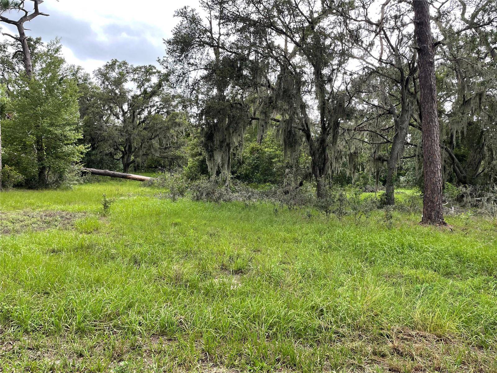 Polk City, FL 33868,1451 MARKER RD
