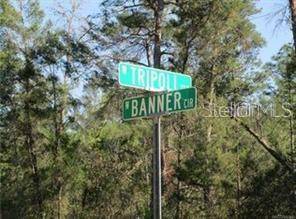 Dunnellon, FL 34433,6606 N TRIPOLI TER