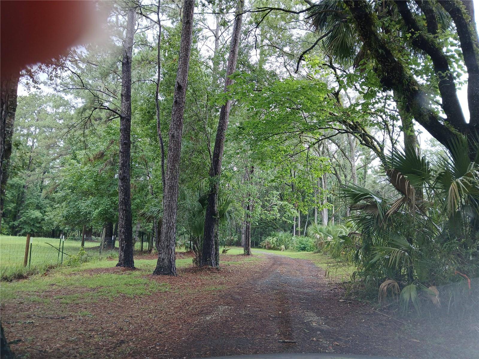 Micanopy, FL 32667,21801 NW 75TH AVENUE RD