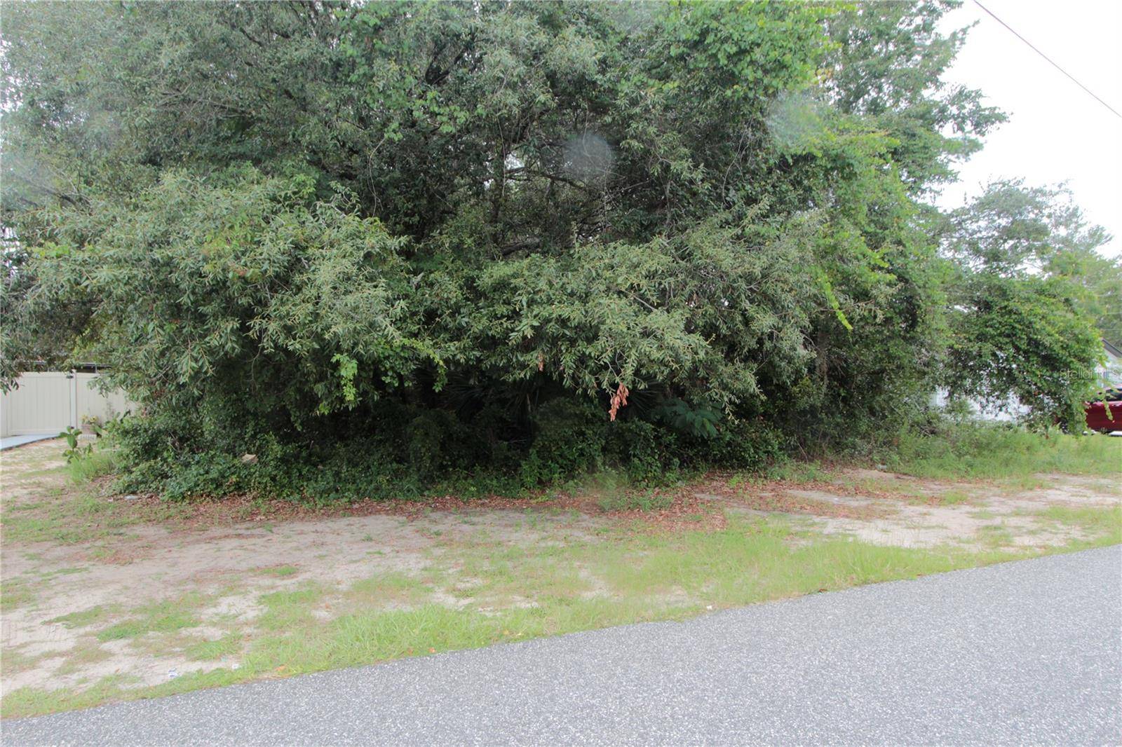 Ocala, FL 34473,0 SW 158TH ST
