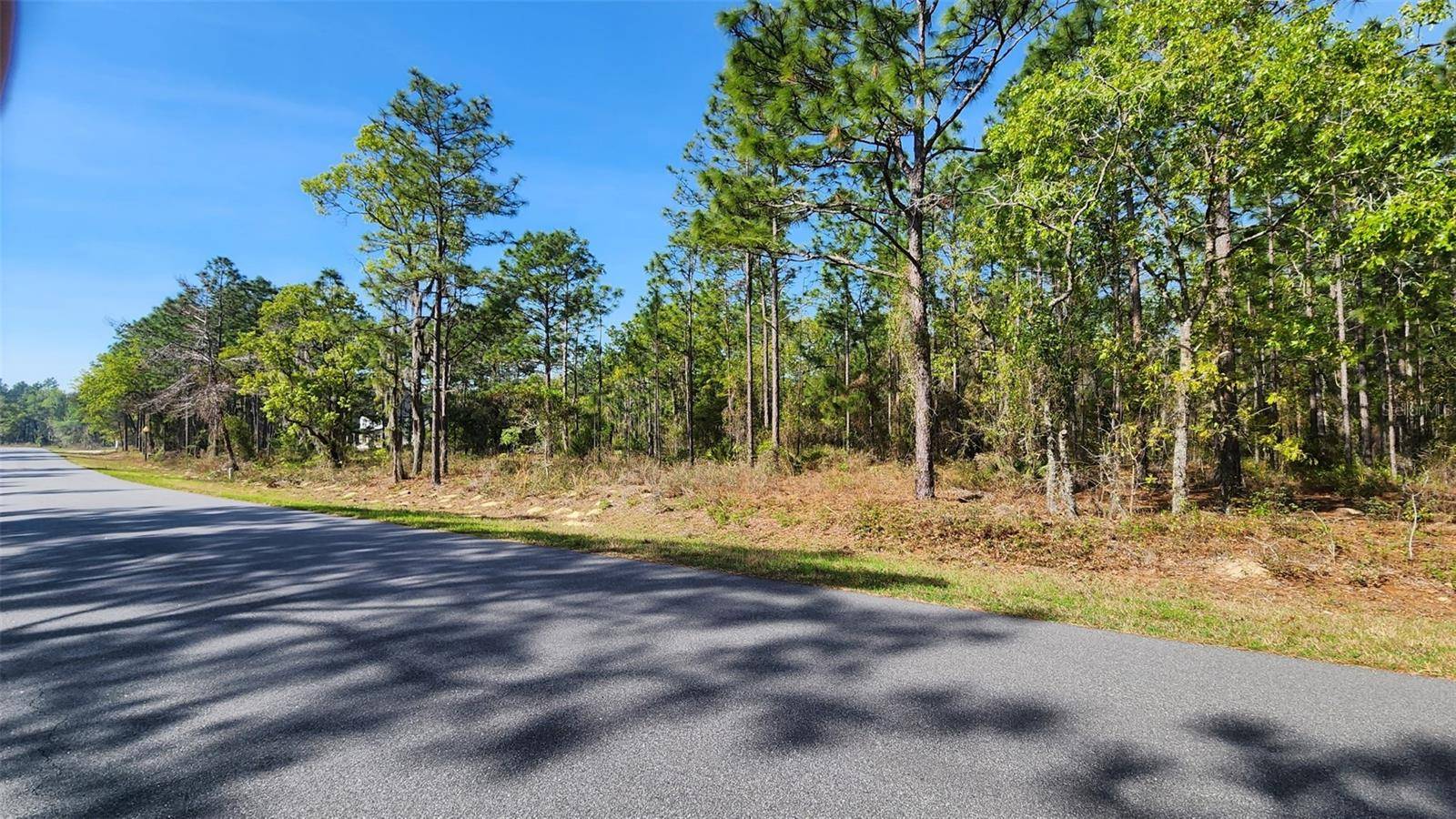 Wildwood, FL 34785,TBD CR 243B