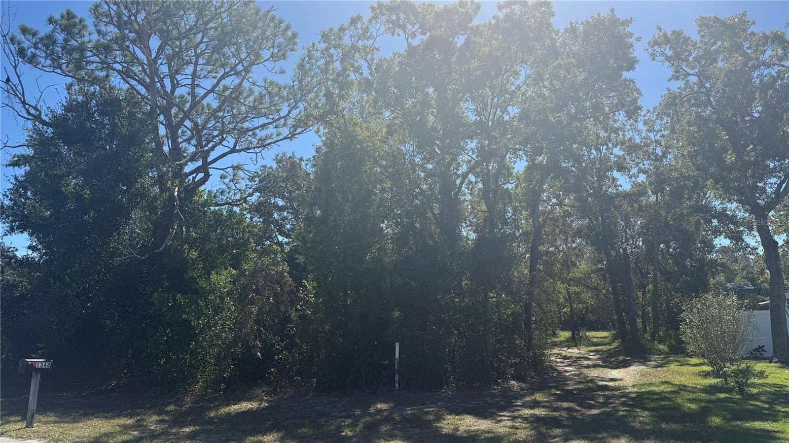 Spring Hill, FL 34608,0 LARKIN RD