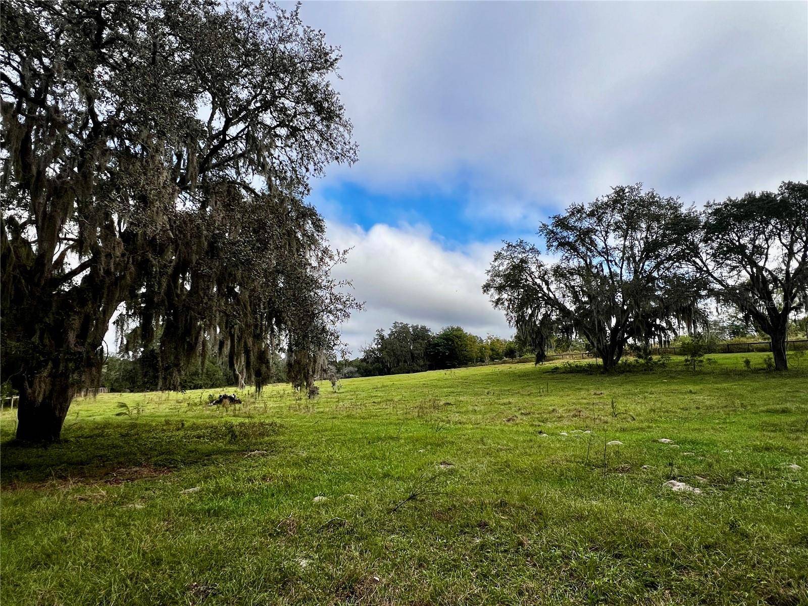 Fruitland Park, FL 34731,0 ROLLING ACRES RD