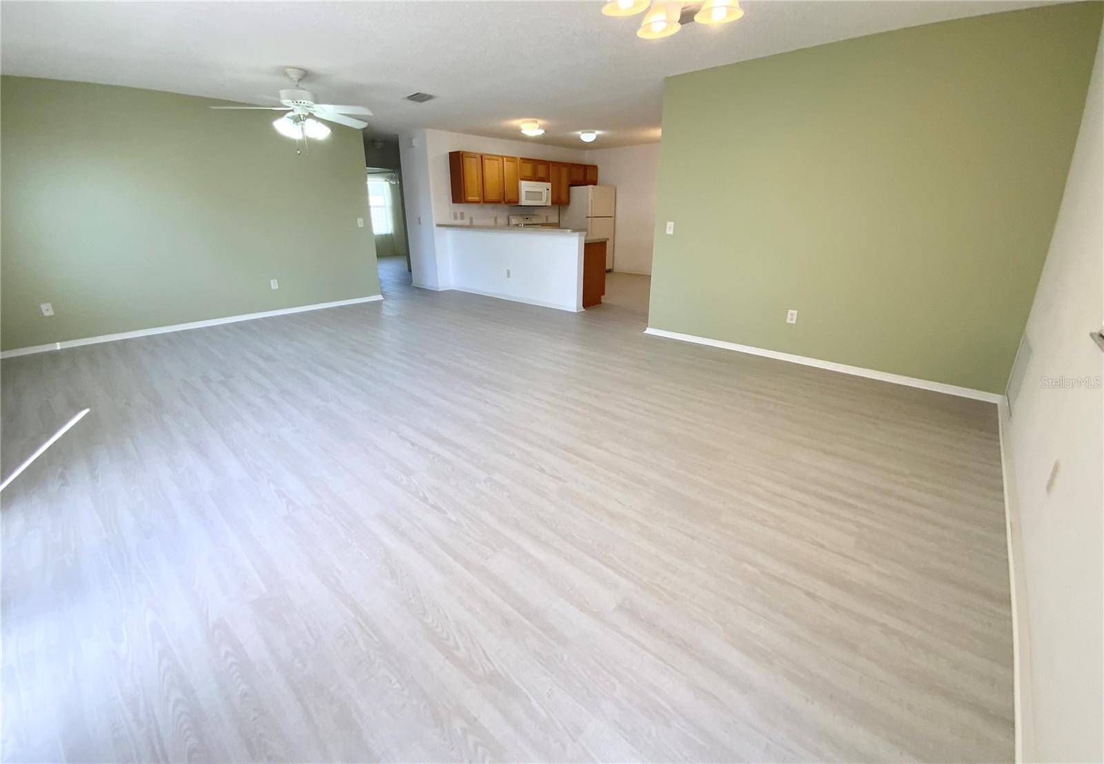 The Villages, FL 32162,317 ROWESVILLE LN