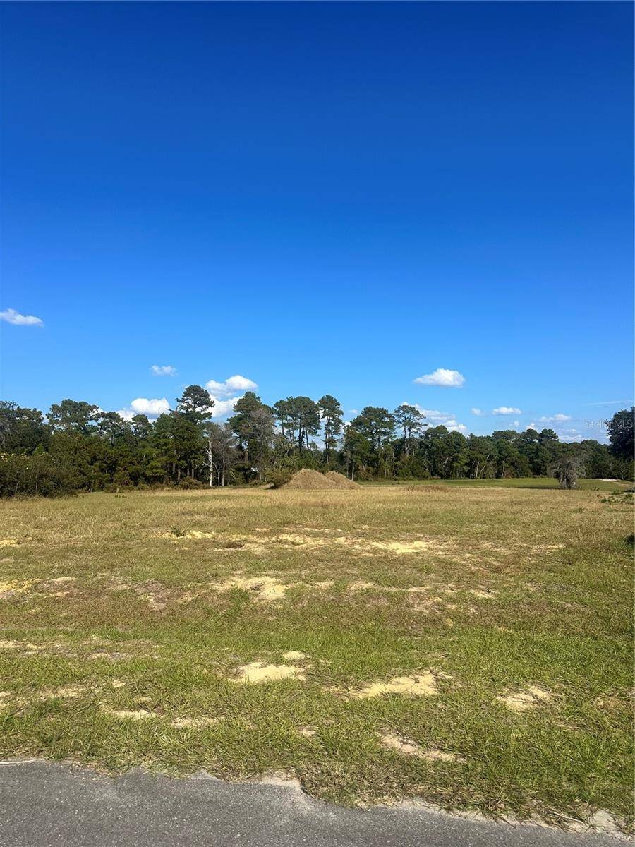 Umatilla, FL 32784,38553 WOODED MEADOW DR