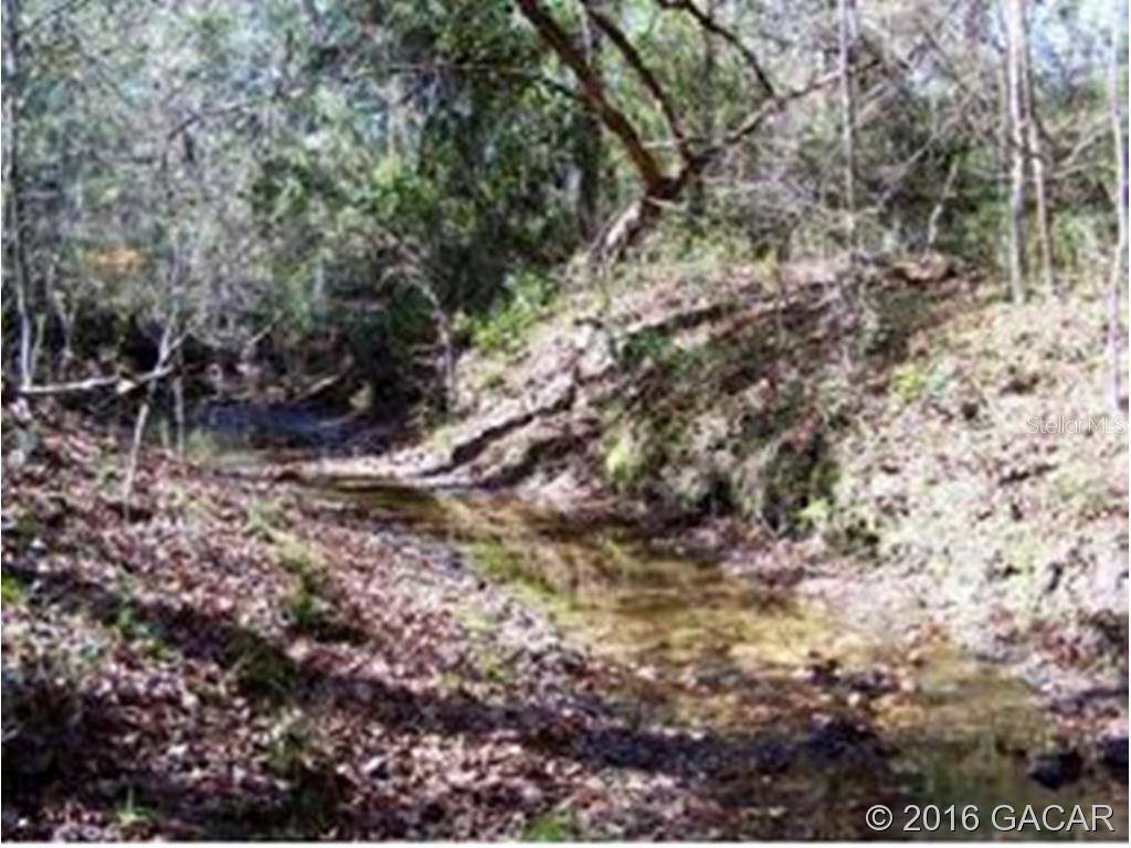 Lake Butler, FL 32054,00 CR 239A