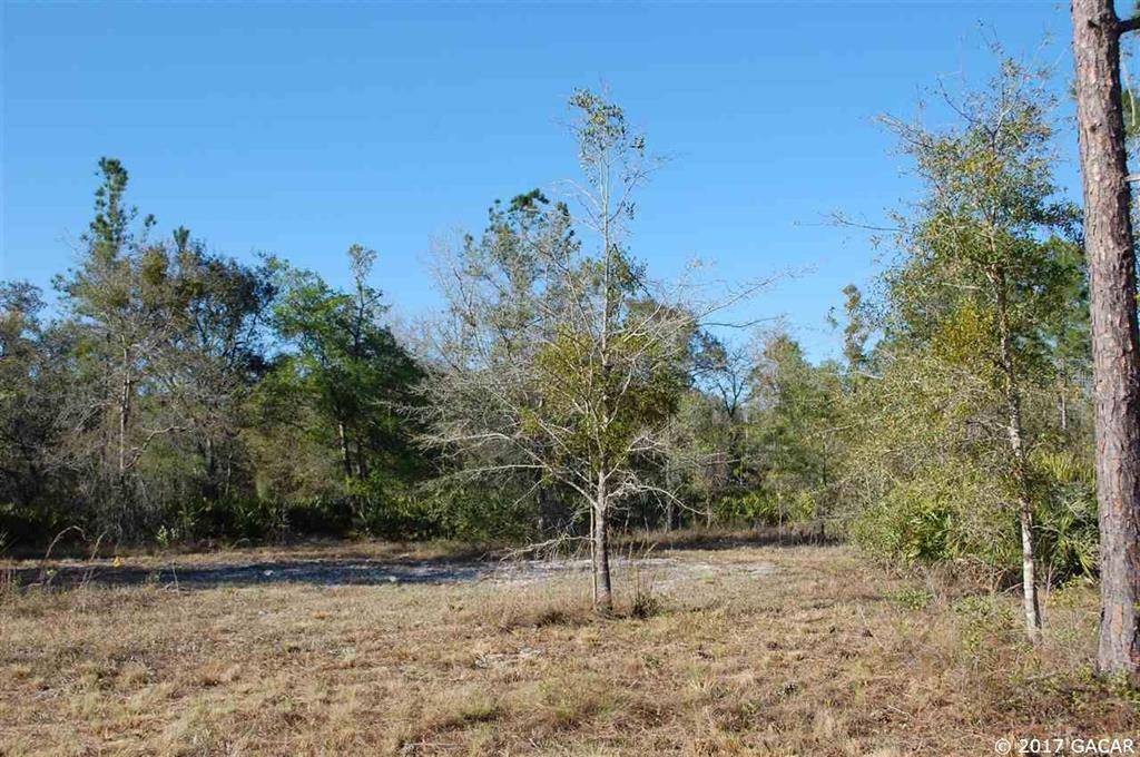 Keystone Heights, FL 32656,00 CR 315C