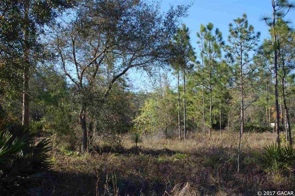 Keystone Heights, FL 32656,00 CR 315C