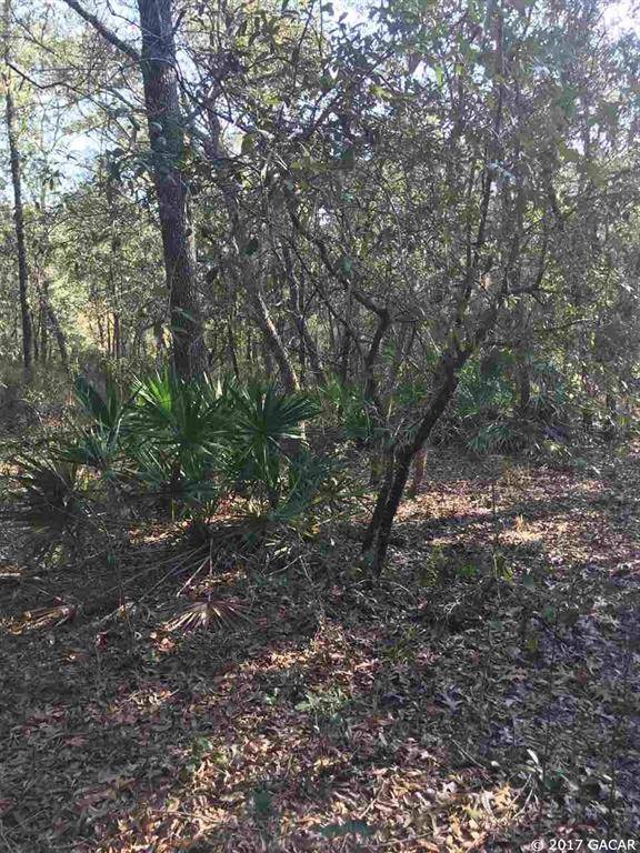 Bronson, FL 32621,12250A NE 80 ST