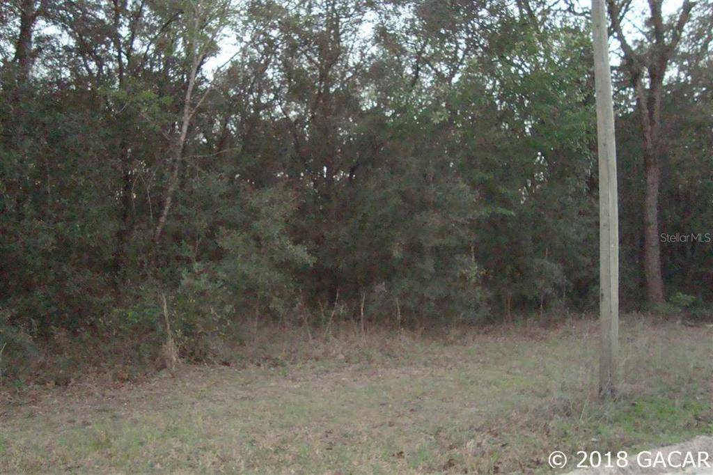 Bronson, FL 32621,00 NE 86 Lane