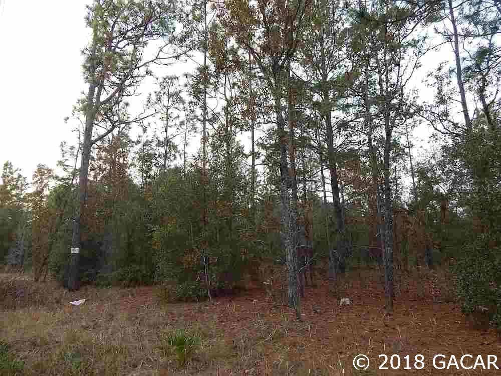 Melrose, FL 32666,00 Bellamy TRL