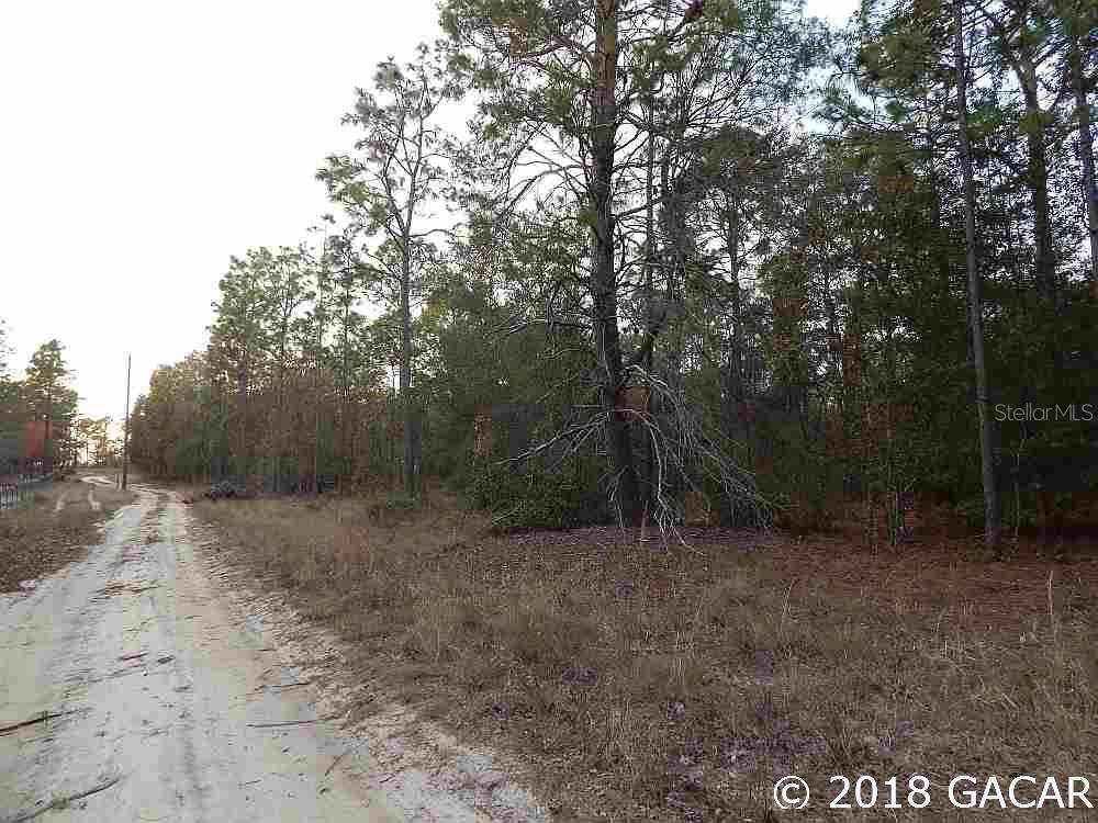 Melrose, FL 32666,00 Bellamy TRL