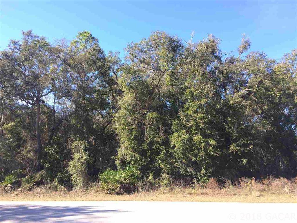 Chiefland, FL 32626,000 NW 87th CT