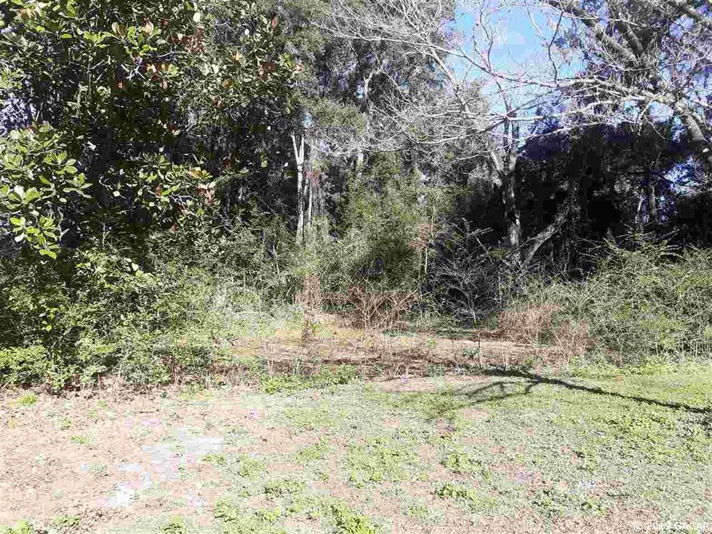 High Springs, FL 32643,TBD NW 191st Avenue