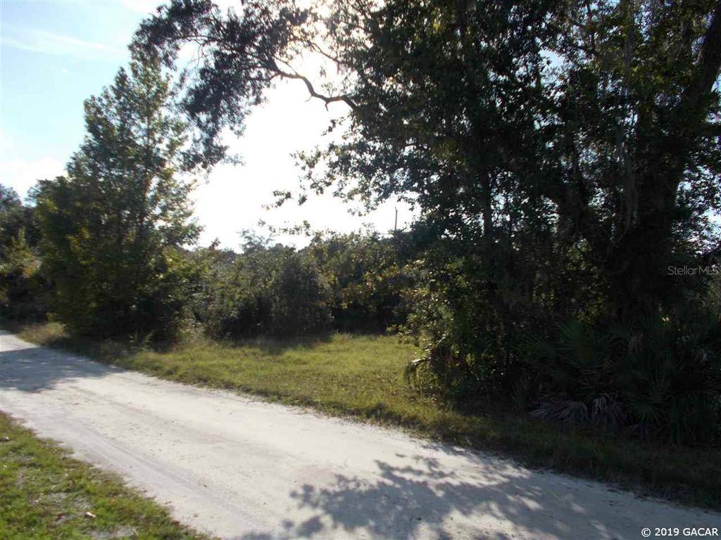 Steinhatchee, FL 32359,0000 SW 725 ST