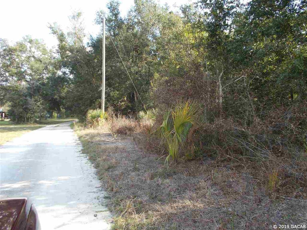 Steinhatchee, FL 32359,0000 SW 725 ST