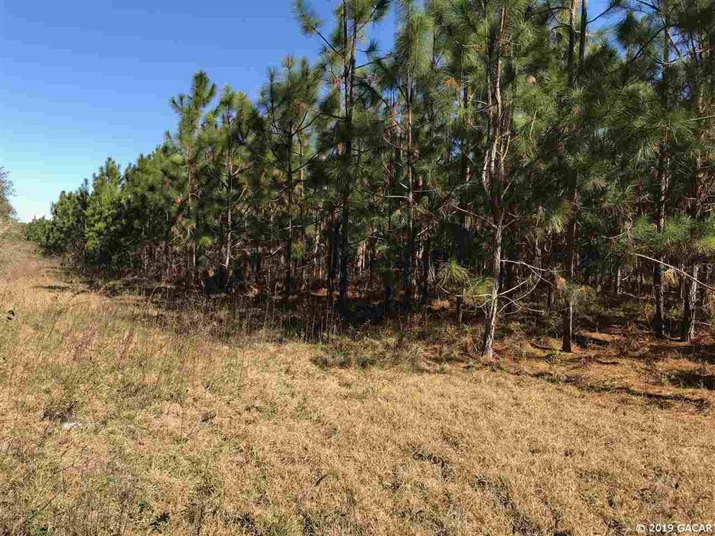 Gainesville, FL 32609,105 Acres NE 6 ST