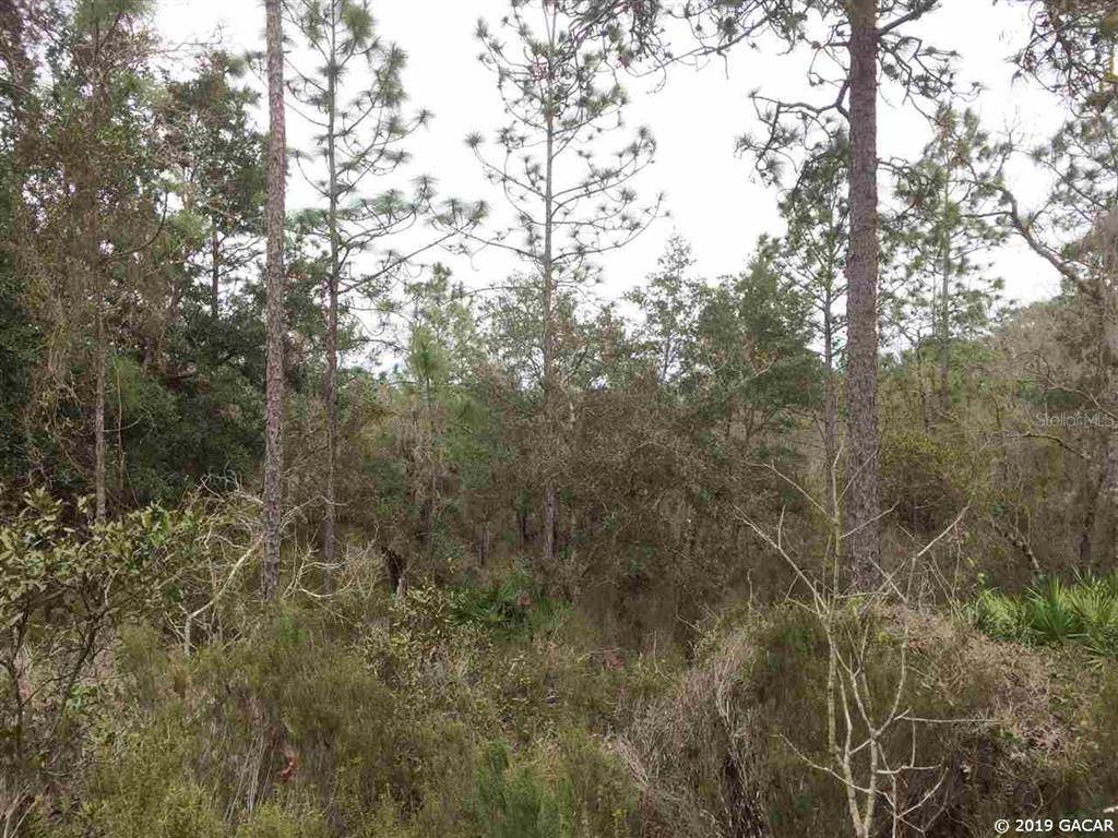 Bronson, FL 32621,000 NE 52nd PL