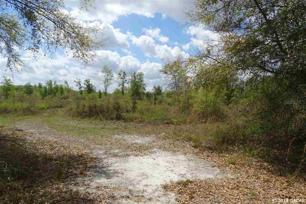 Live Oak, FL 32060,7160 County Road 252