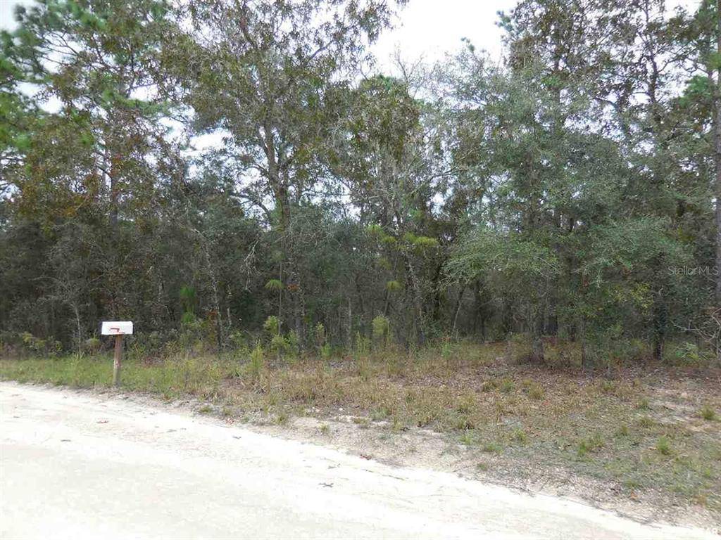 Williston, FL 32696,14991 SE 4th ST