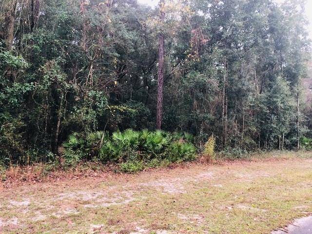 Fanning Springs, FL 32693,Lots 26 & 27 NW 163rd PL