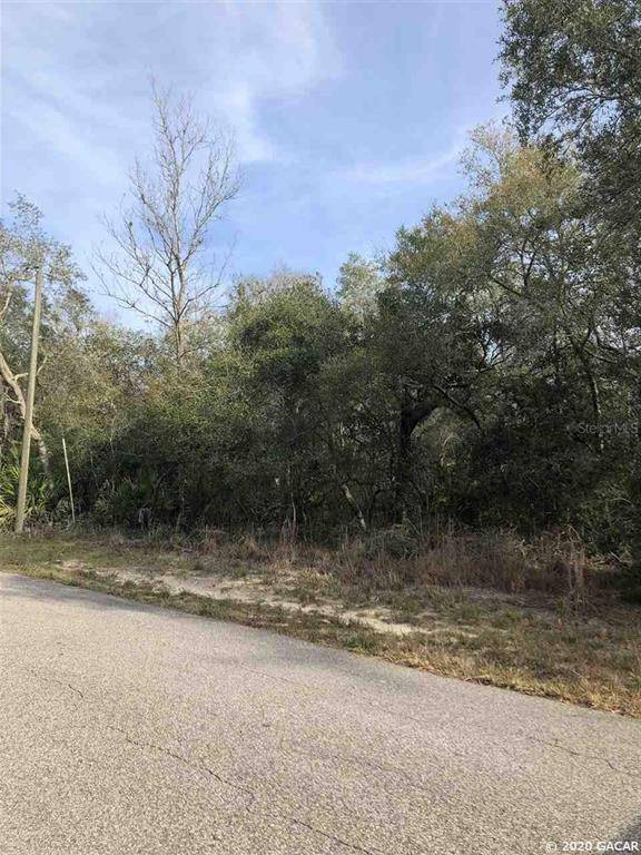 Fanning Springs, FL 32693,Lot 5 Canal ST