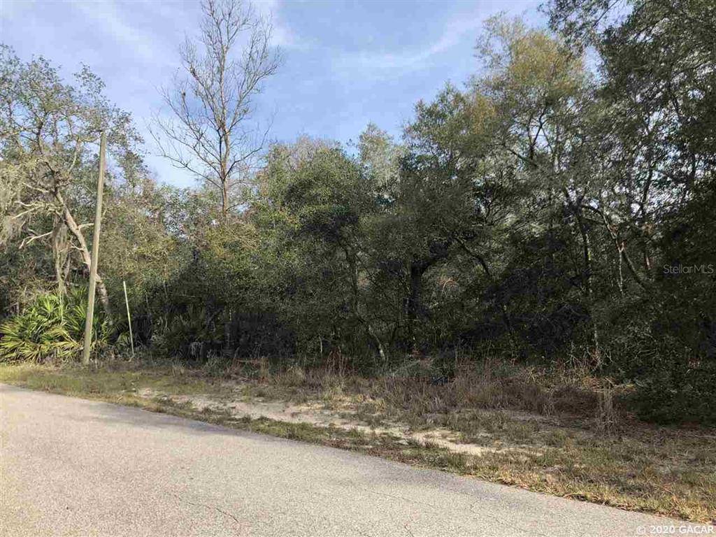 Fanning Springs, FL 32693,Lot 6 Canal ST